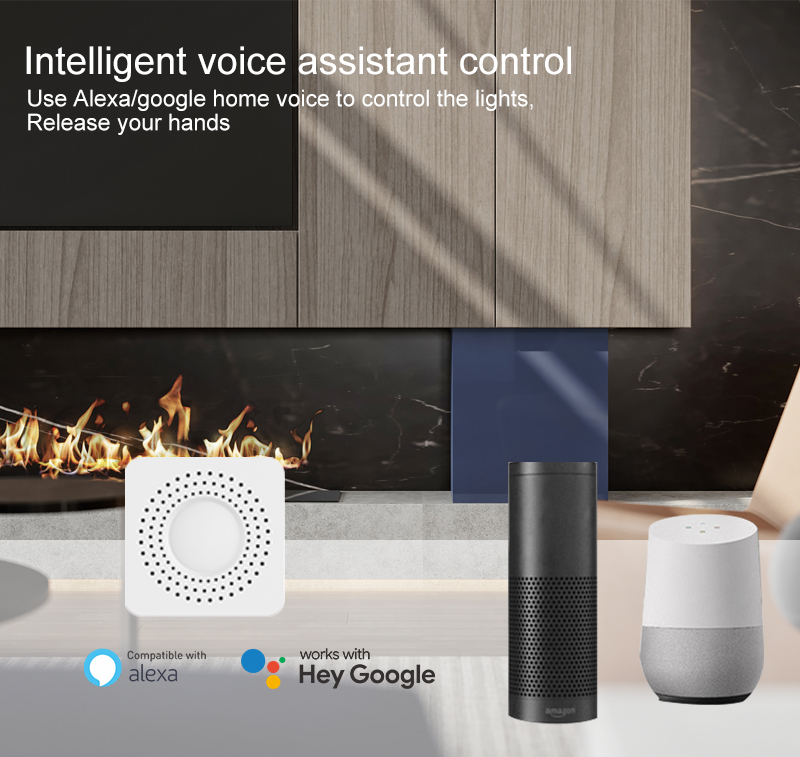 Tuya Mini Smart Switch WiFi 1- - Smart Home Alexa recension och pris