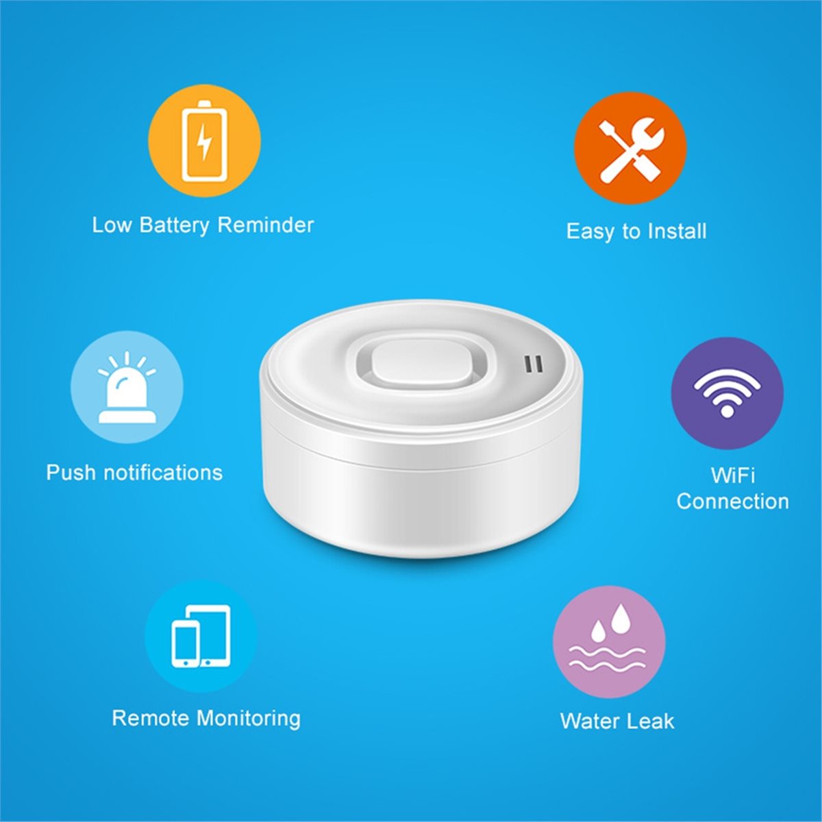 DT81 Smart WIFI Water Leak Det - Wifi Water Leak Detector recension och pris